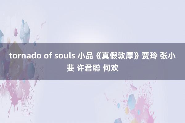 tornado of souls 小品《真假敦厚》贾玲 张小斐 许君聪 何欢